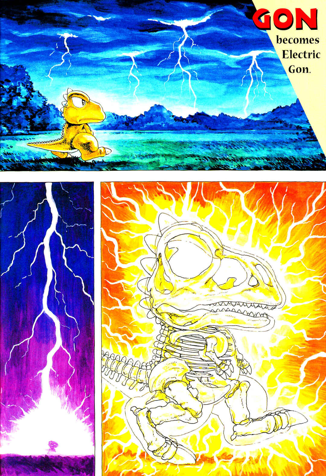 Page 1 Chapter 4 Gon