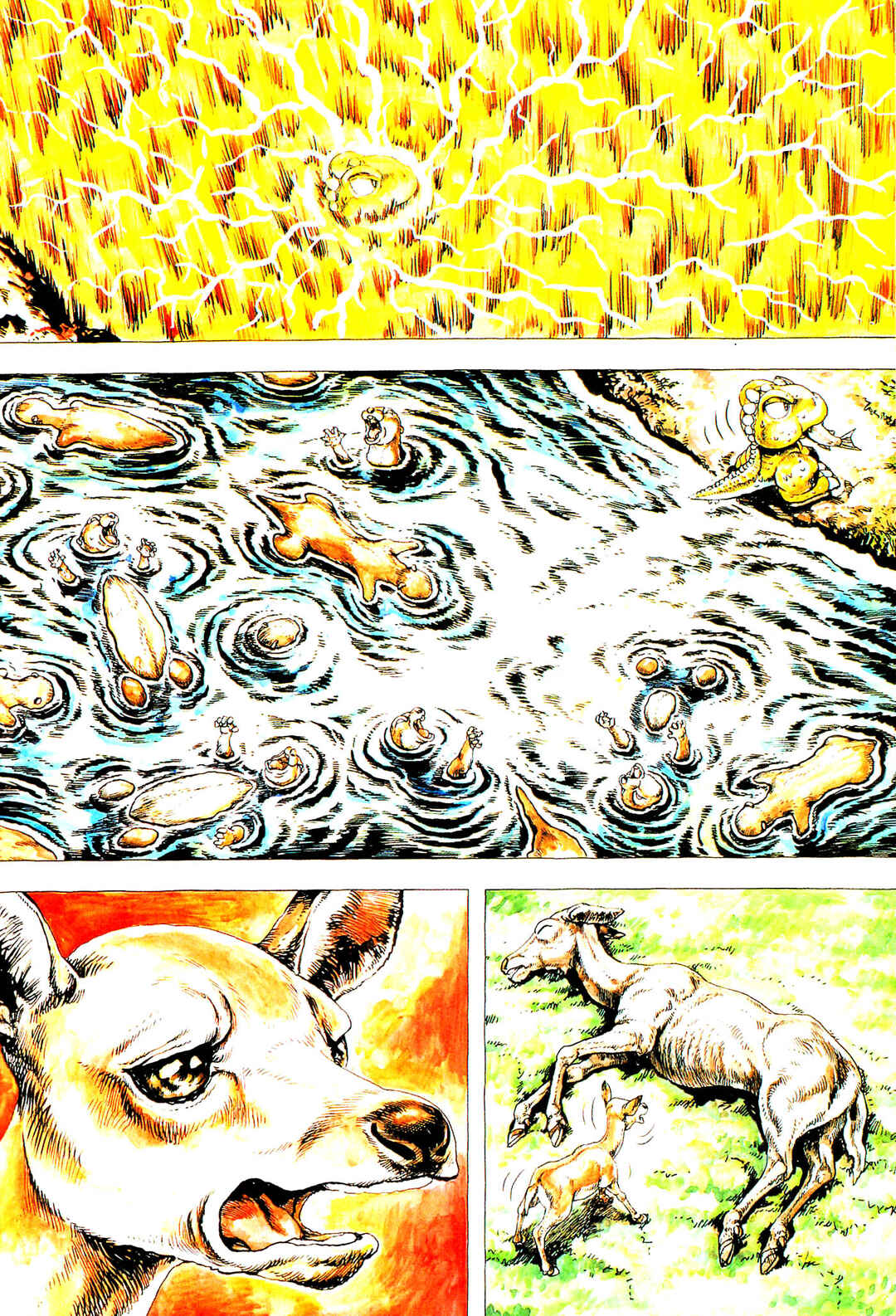 Page 5 Chapter 4 Gon