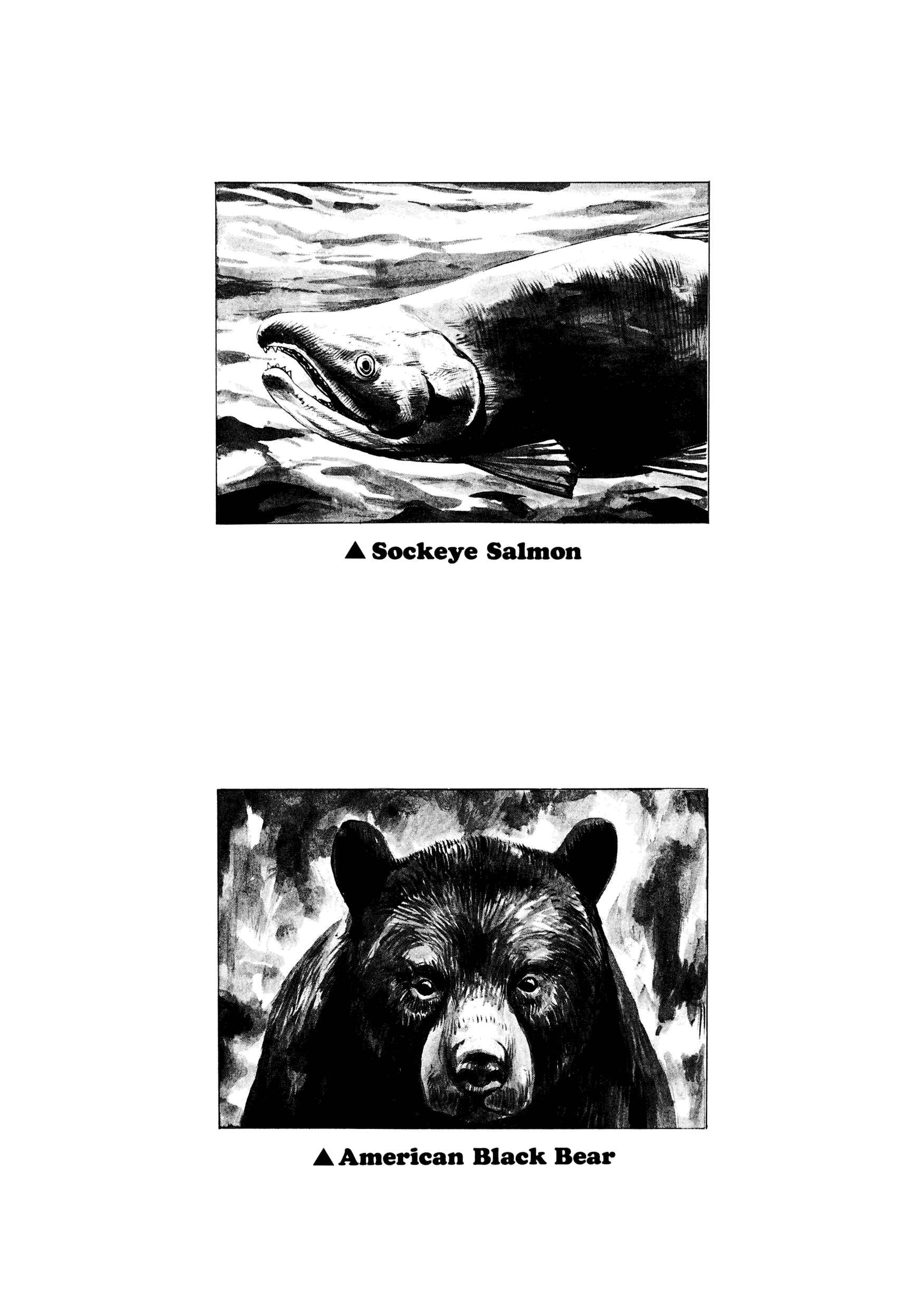 Page 37 Chapter 1 Gon