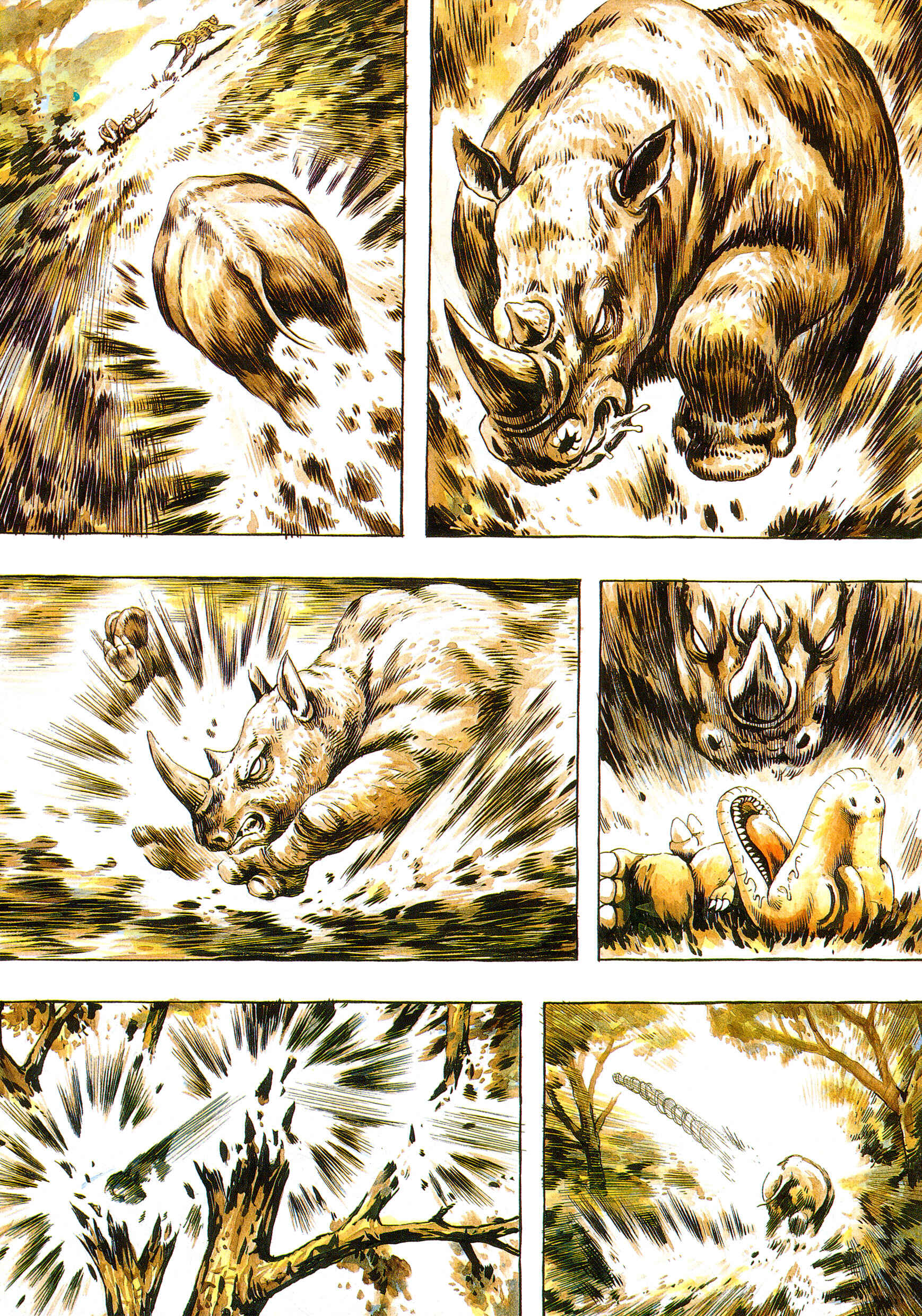 Page 6 Chapter 1 Gon