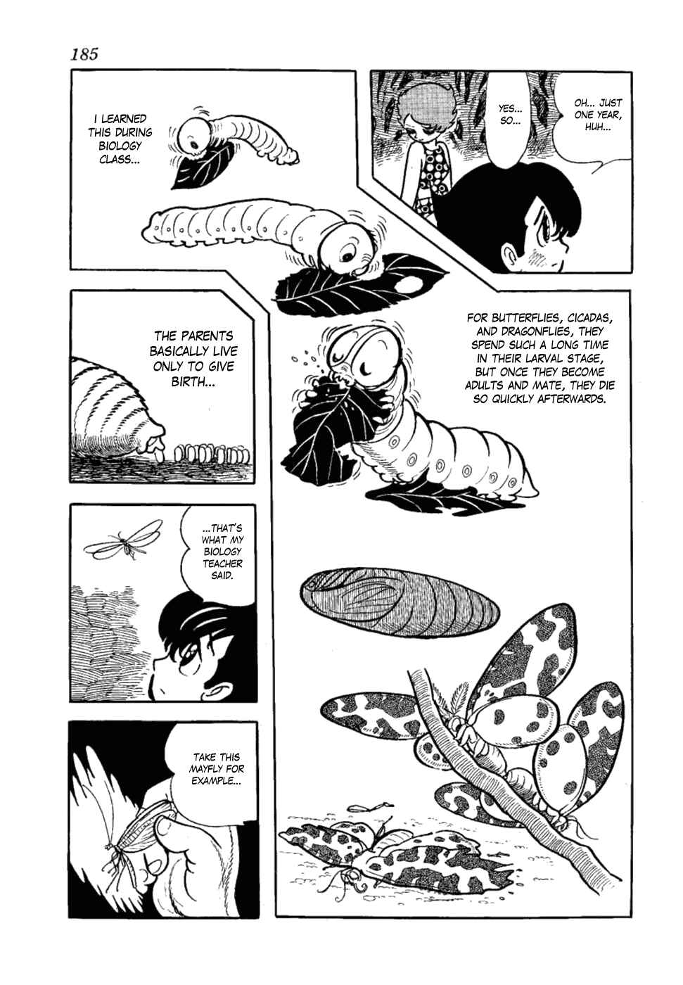 Page 11 Chapter 6 Yakeppachis Maria