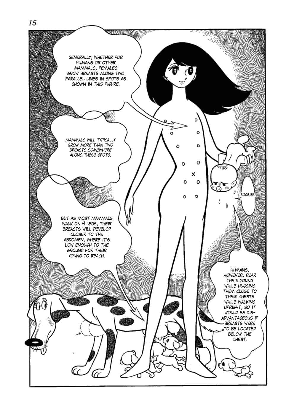 Page 13 Chapter 7 Yakeppachis Maria