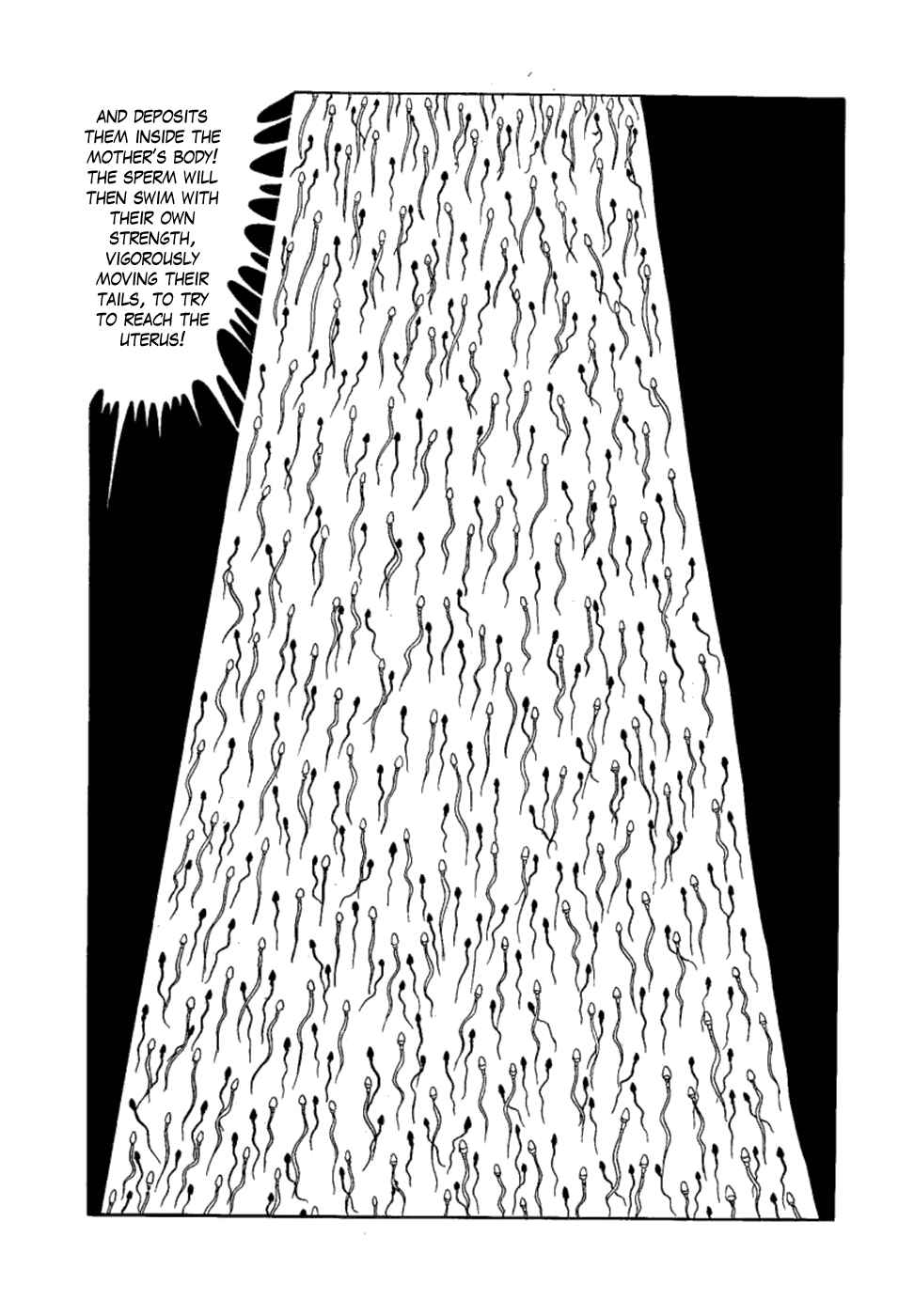 Page 7 Chapter 8 Yakeppachis Maria