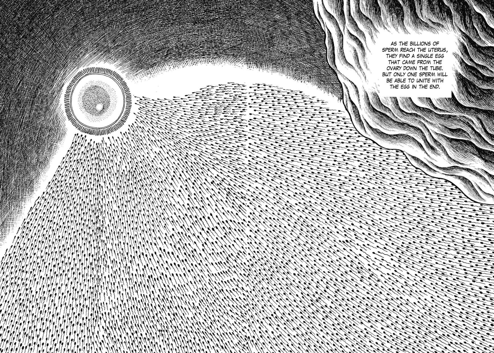 Page 8 Chapter 8 Yakeppachis Maria