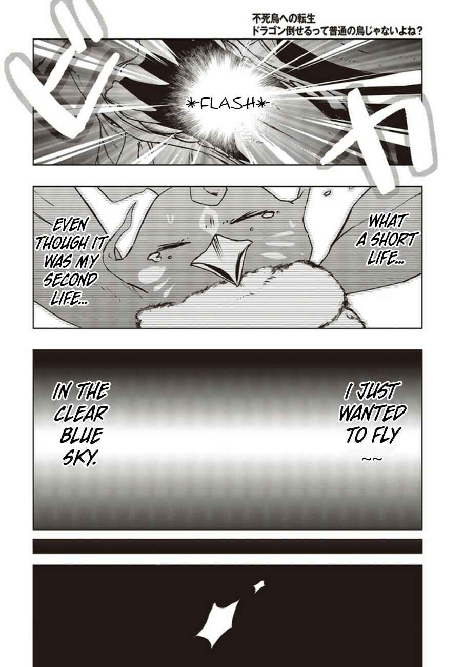 Page 25 Chapter 2 Reborn as a Phoenix: A Normal Bird Cant Beat a Dragon, Right?