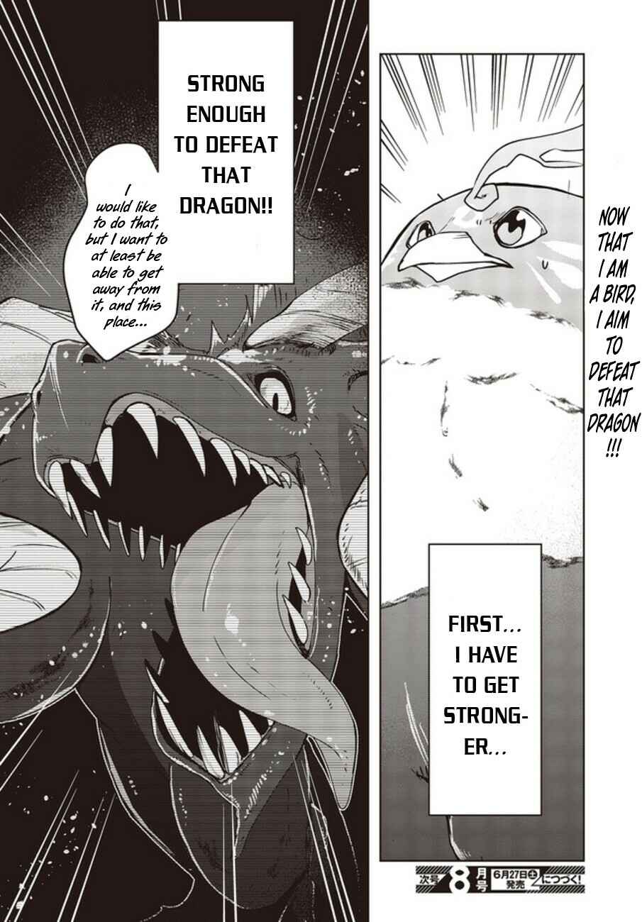 Page 27 Chapter 2 Reborn as a Phoenix: A Normal Bird Cant Beat a Dragon, Right?