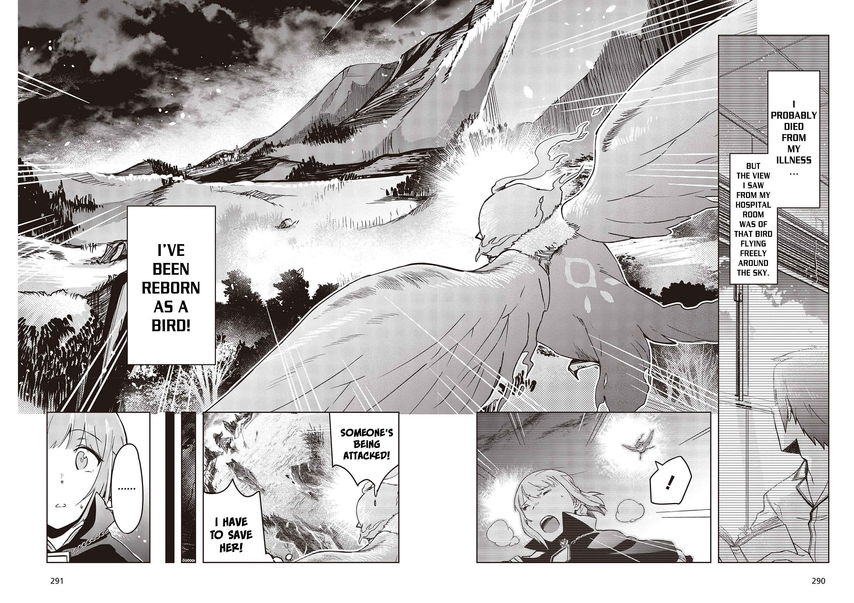 Page 11 Chapter 1 Reborn as a Phoenix: A Normal Bird Cant Beat a Dragon, Right?