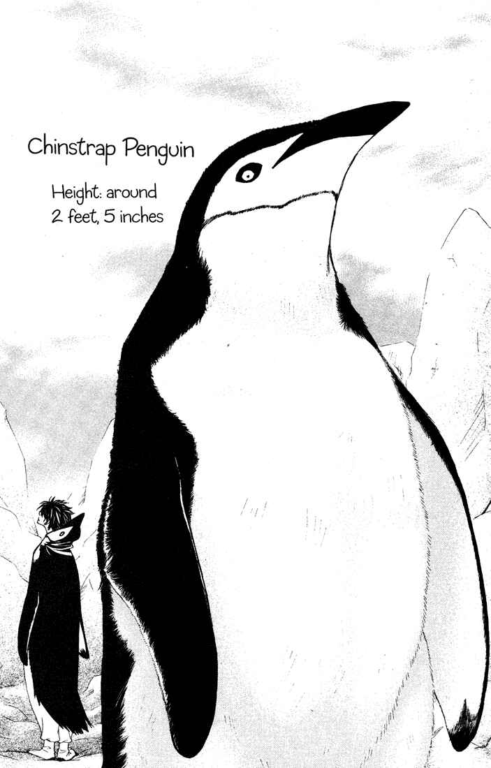 Page 28 Chapter 32 Penguin Kakumei