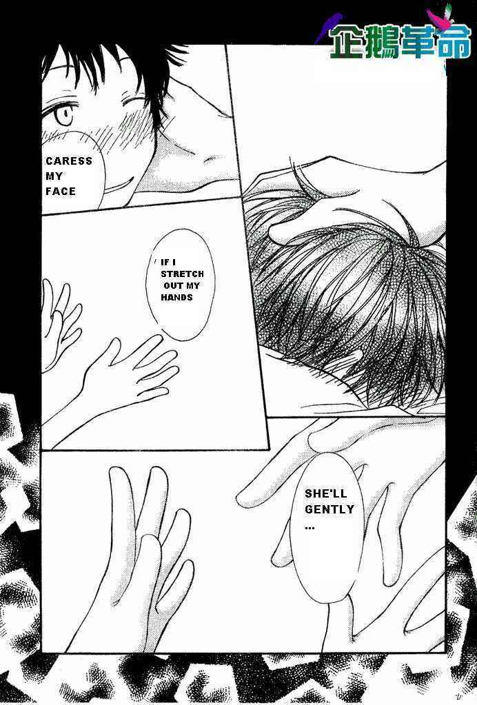 Page 19 Chapter 28 Penguin Kakumei