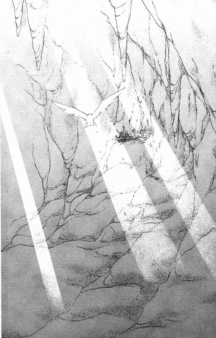 Page 2 Chapter 33 Penguin Kakumei