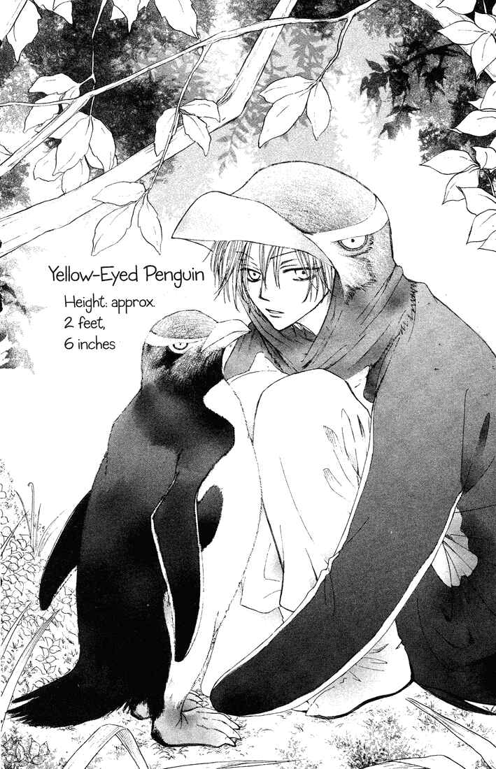Page 31 Chapter 33 Penguin Kakumei