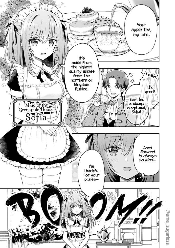 Page 1 Chapter 1 A Story About A Battle Maid