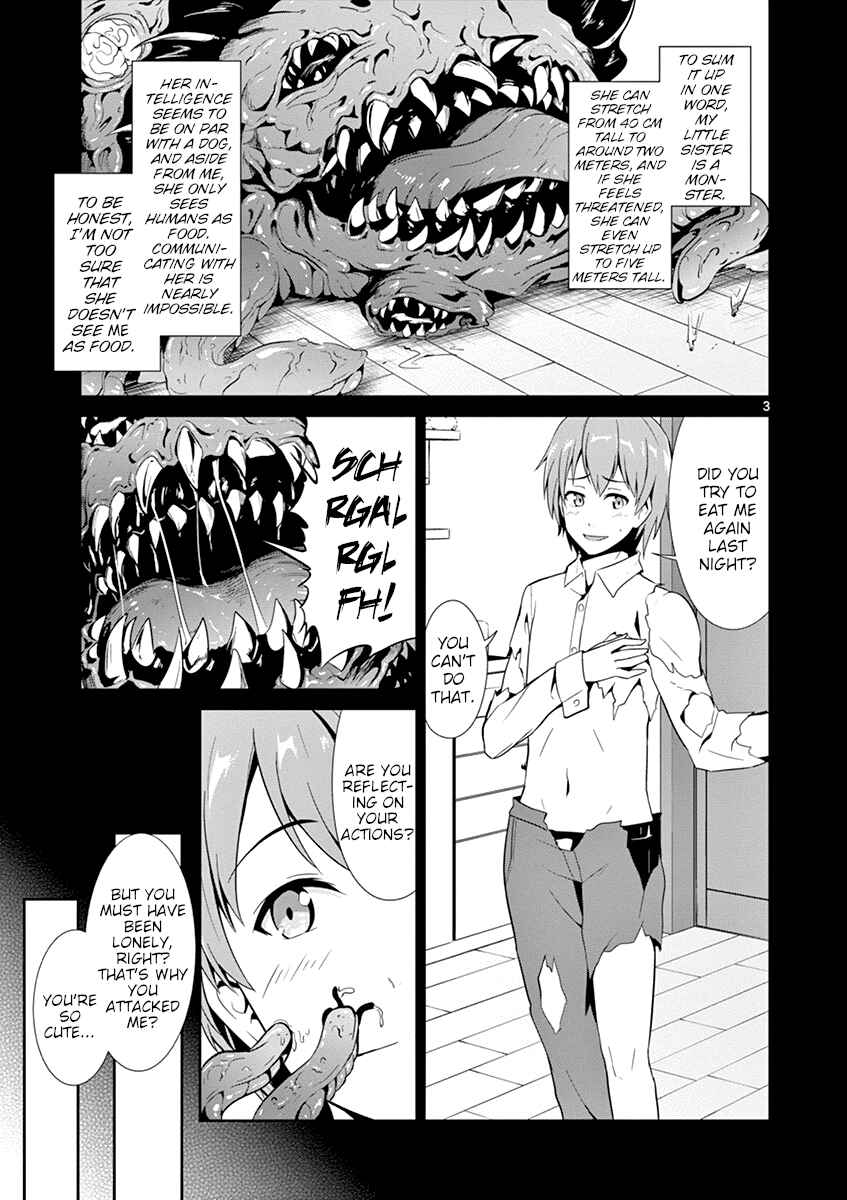 Page 3 Chapter 13 Imouto Sae Ireba Ii. @comic