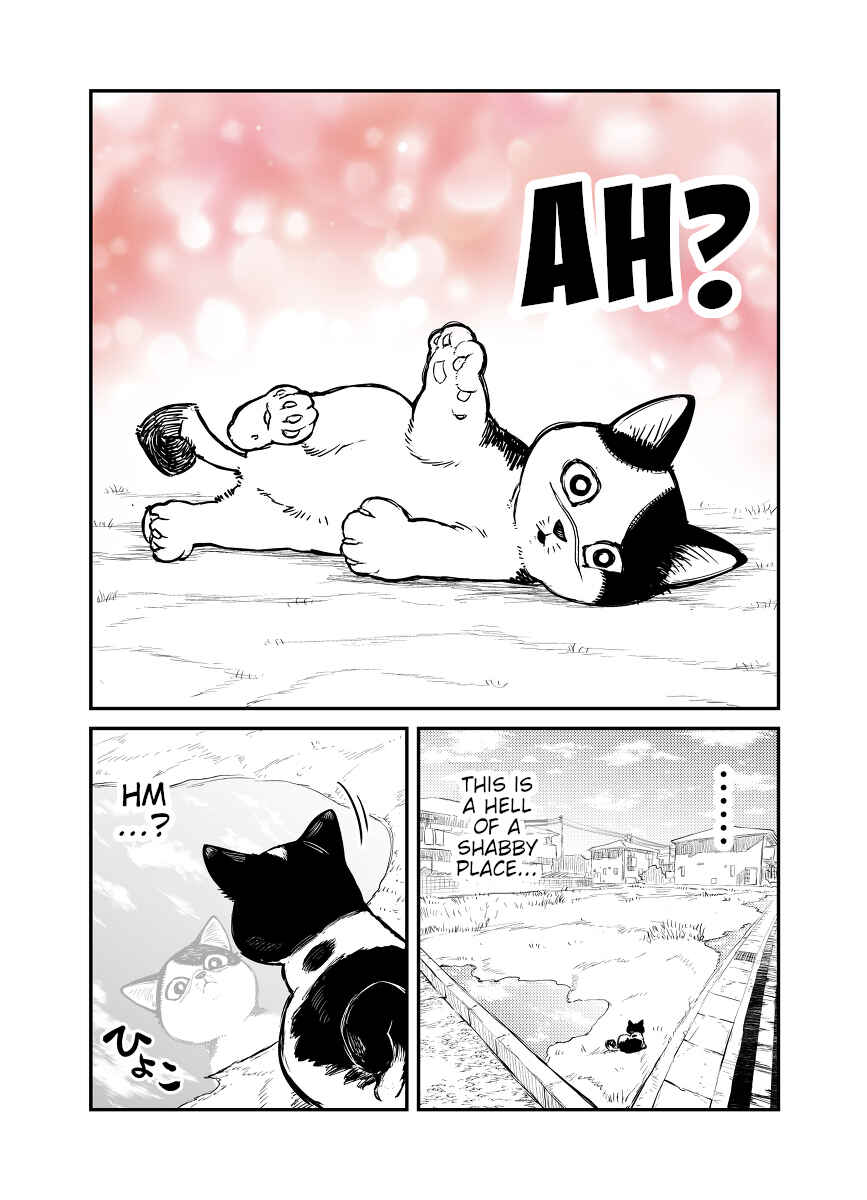 Page 3 Chapter 1 Kumicho, neko ni naru