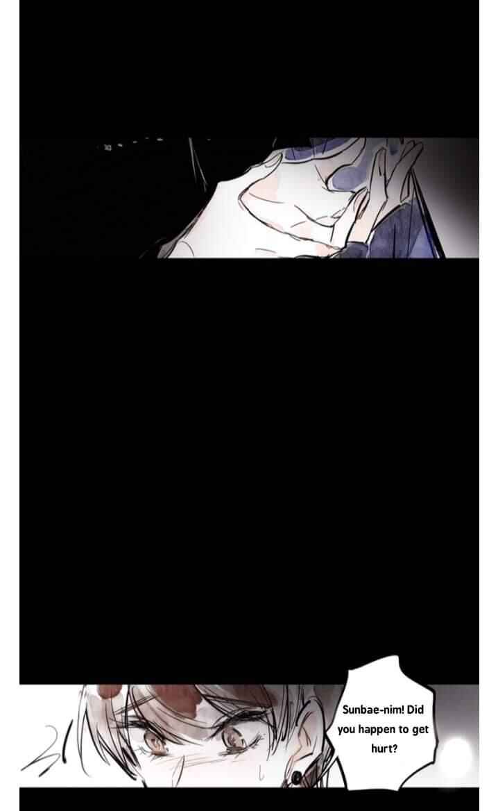 Page 39 Chapter 16 Swallow Tail