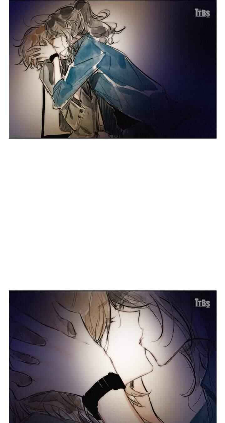Page 32 Chapter 12 Swallow Tail