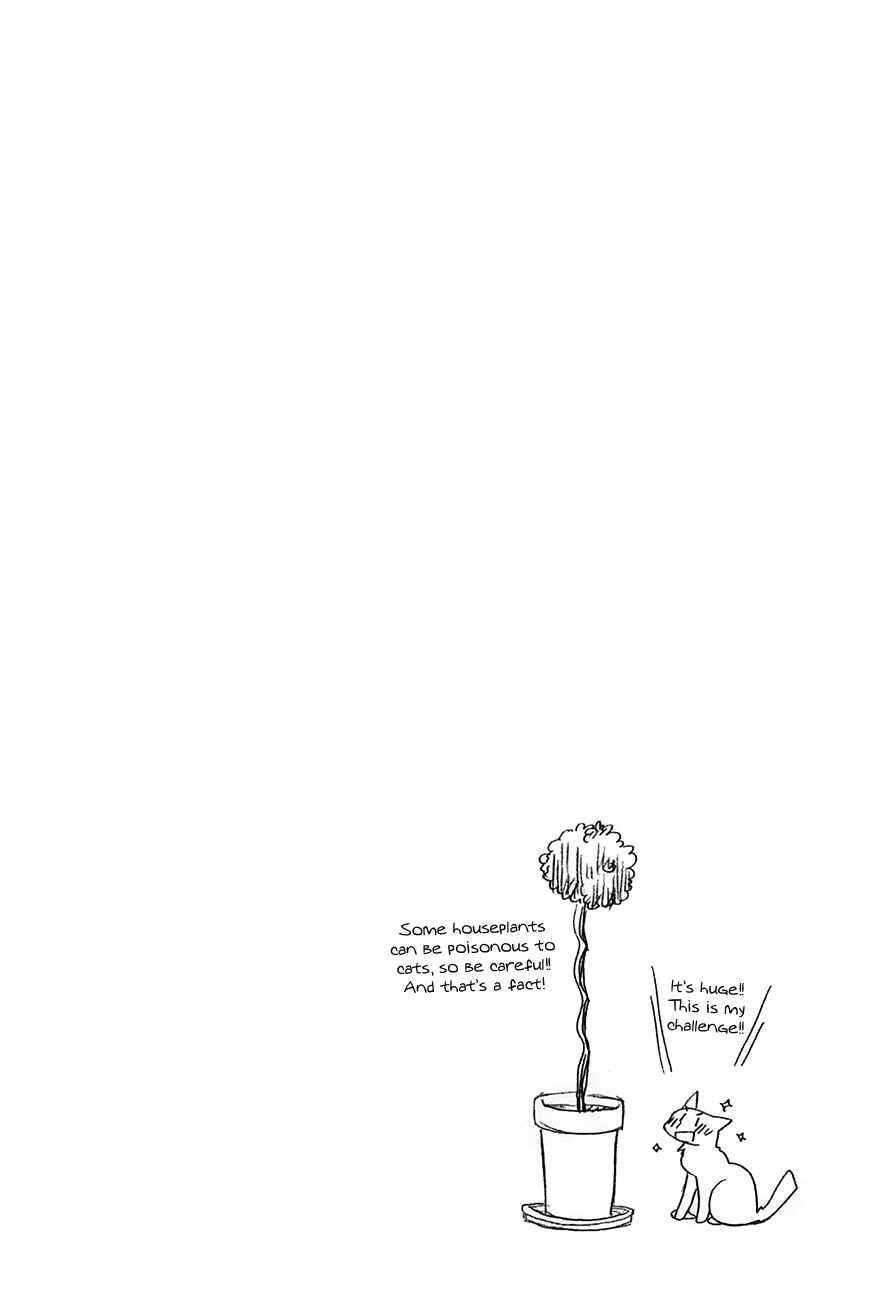 Page 12 Chapter 37 Chokotto Hime