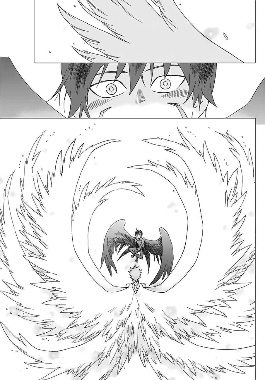 Page 20 Chapter 41 Birdmen