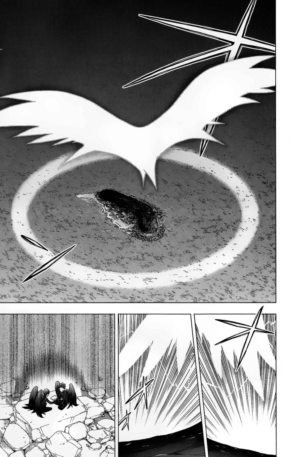 Page 31 Chapter 24 Birdmen