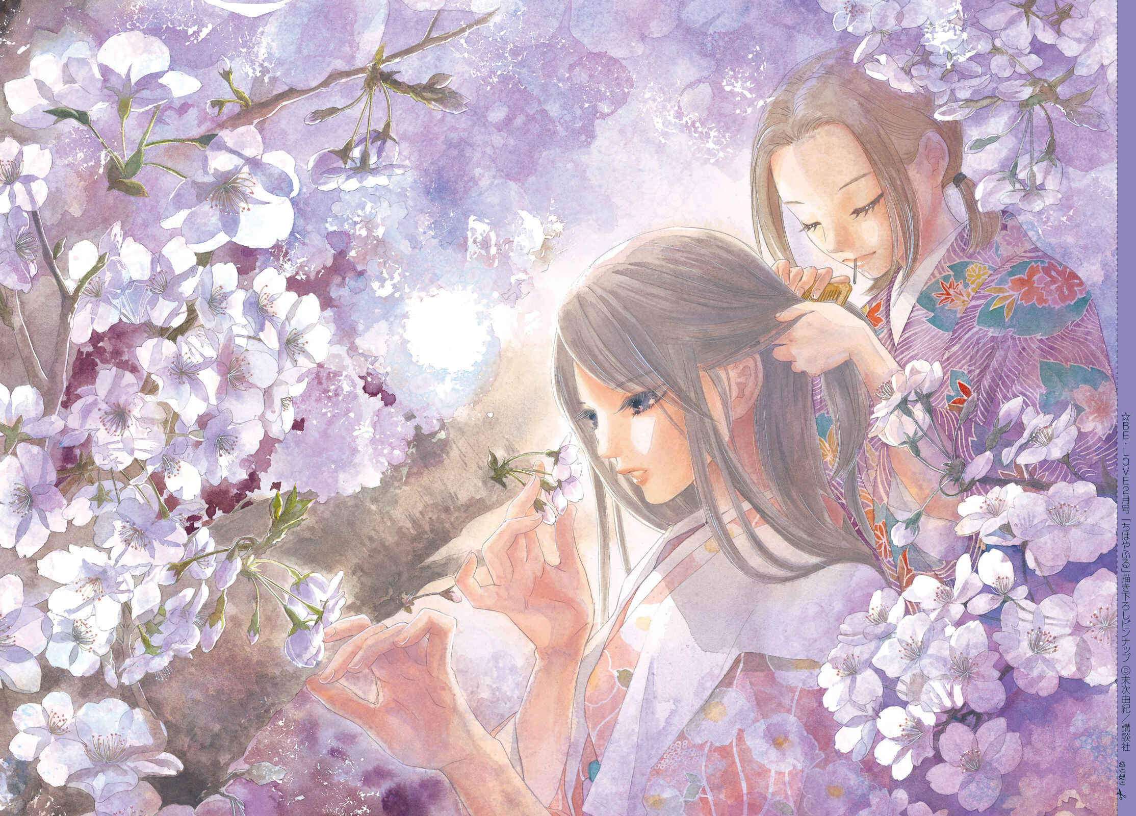 Page 41 Chapter 232 Chihayafuru