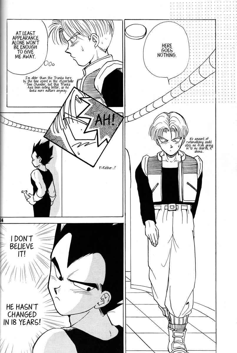Page 34 Chapter Unknown_2337 Dragon Ball - Grand Bazaar (Doujinshi)