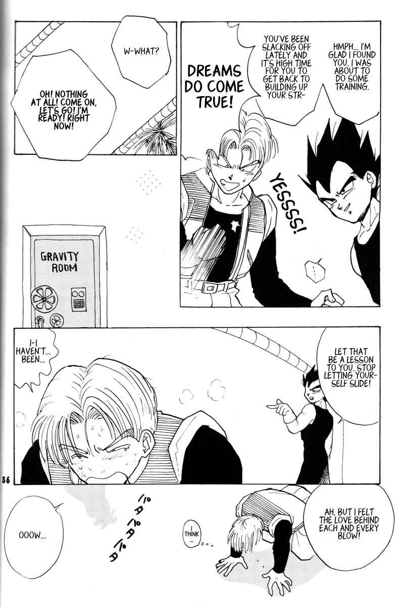 Page 36 Chapter Unknown_2337 Dragon Ball - Grand Bazaar (Doujinshi)