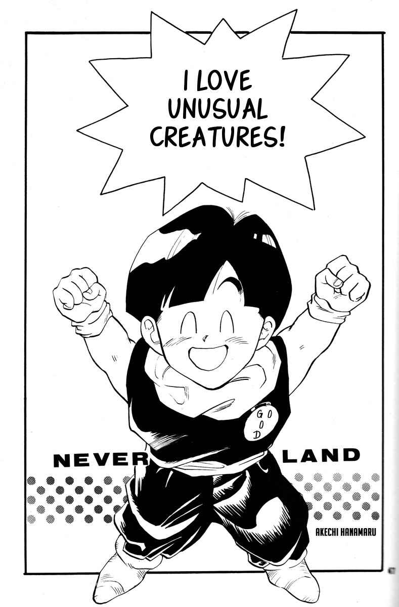 Page 47 Chapter Unknown_2337 Dragon Ball - Grand Bazaar (Doujinshi)