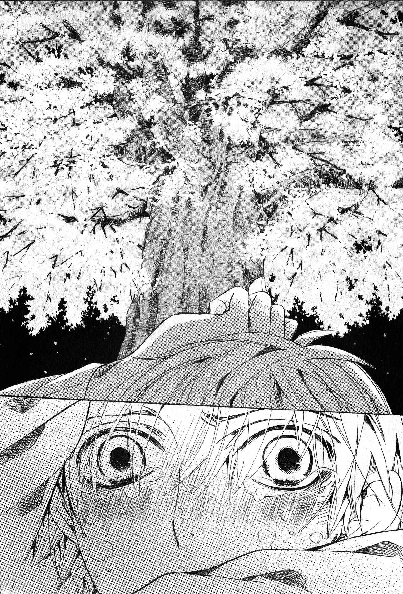Page 33 Chapter 36 Sekaiichi Hatsukoi