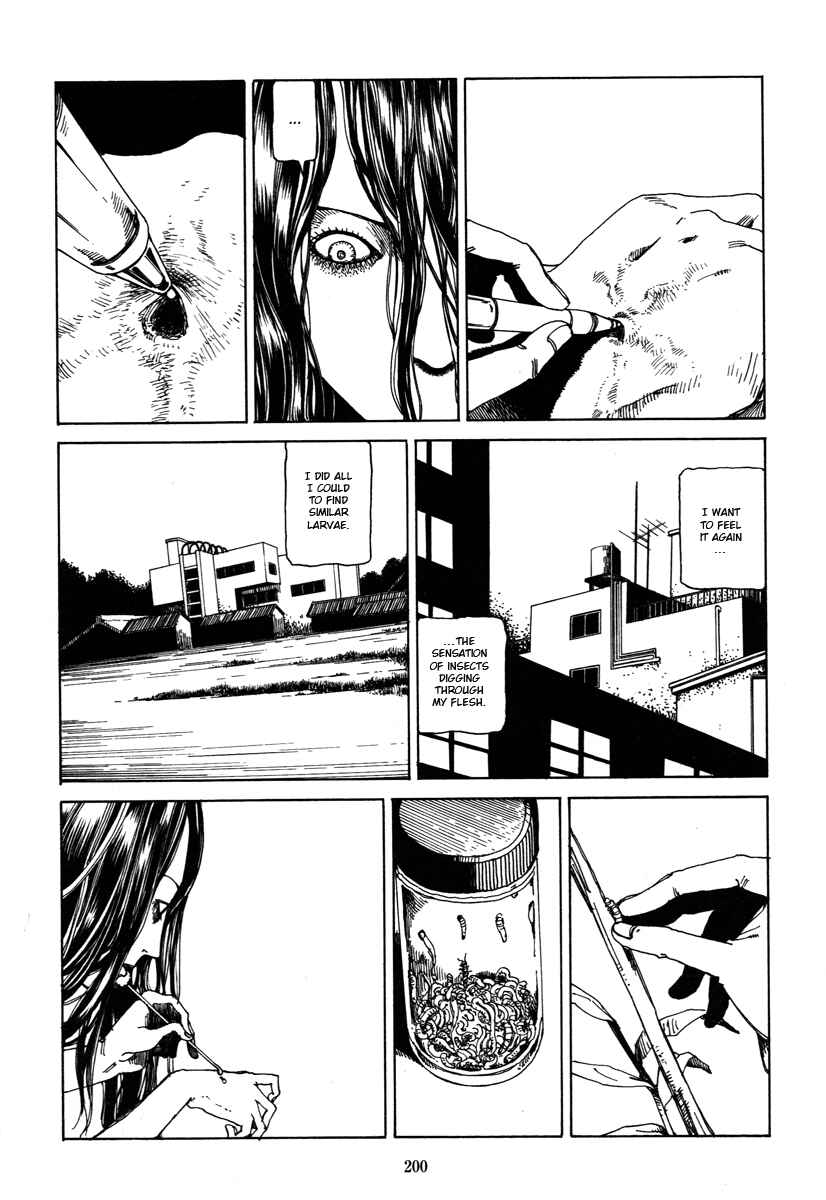 Page 8 Chapter 12 Fraction