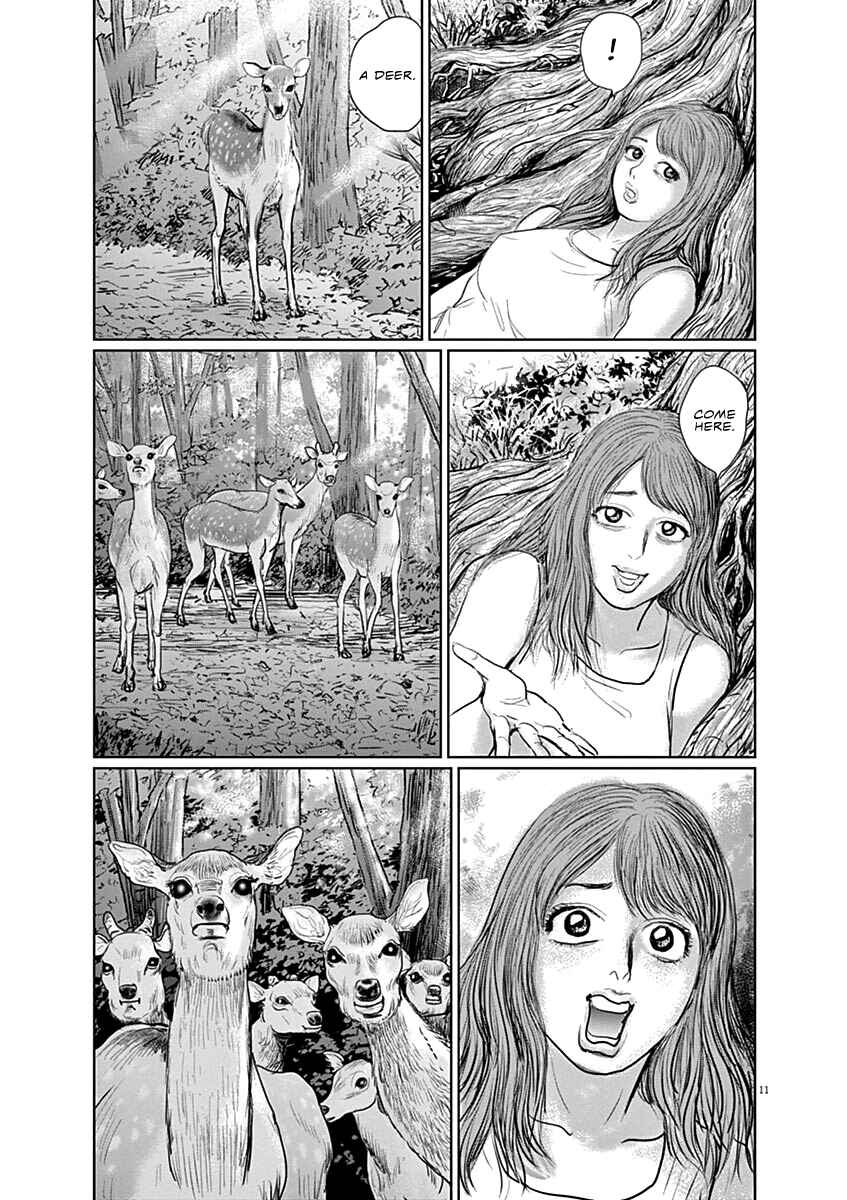 Page 11 Chapter 10 The Last Cruise