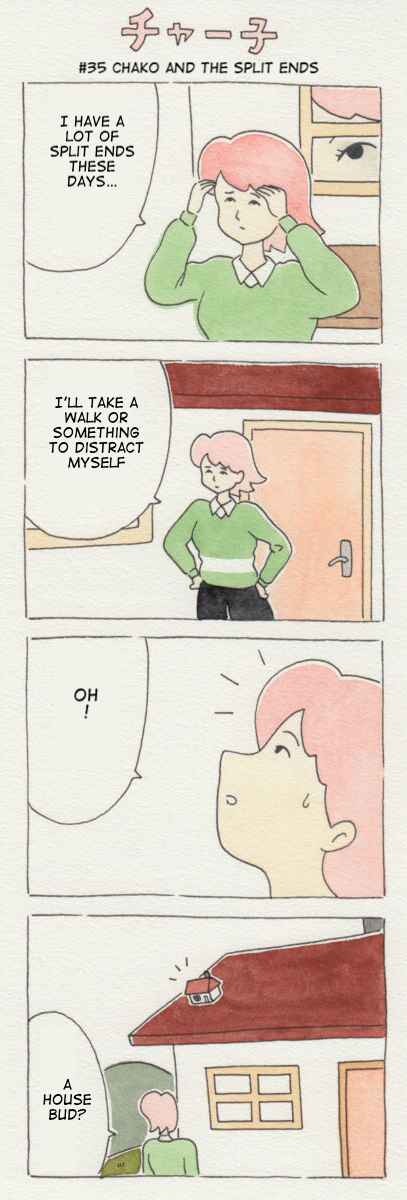 Page 19 Chapter 1 Chako