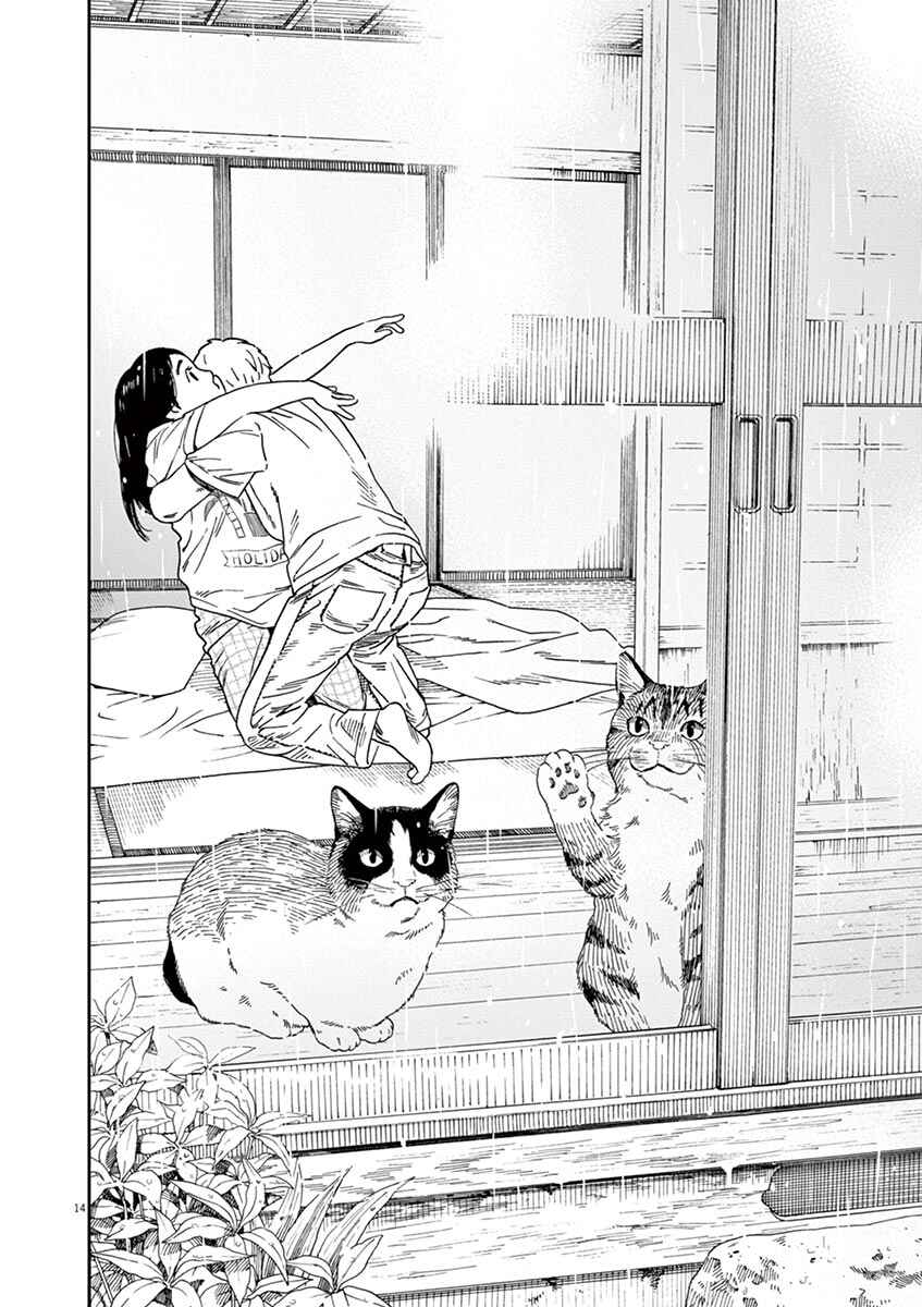 Page 14 Chapter 43 Neko no Otera no Chion-san