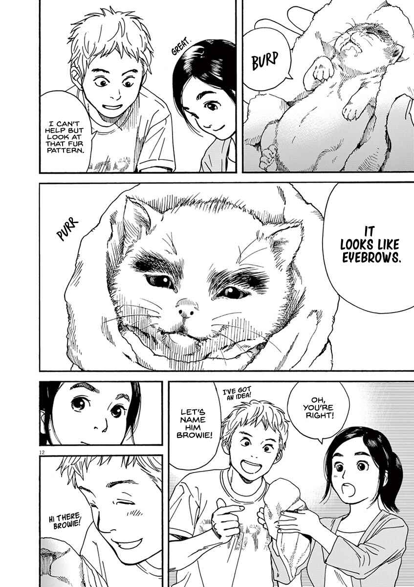 Page 13 Chapter 22 Neko no Otera no Chion-san