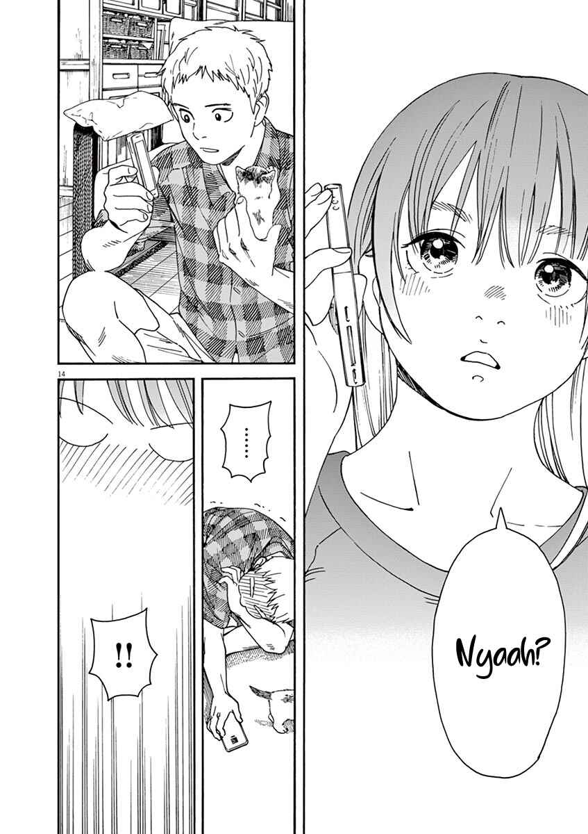 Page 13 Chapter 47 Neko no Otera no Chion-san