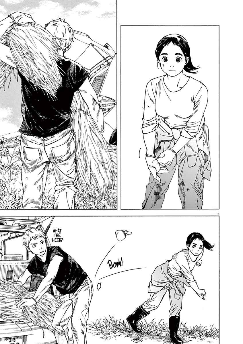 Page 5 Chapter 47 Neko no Otera no Chion-san