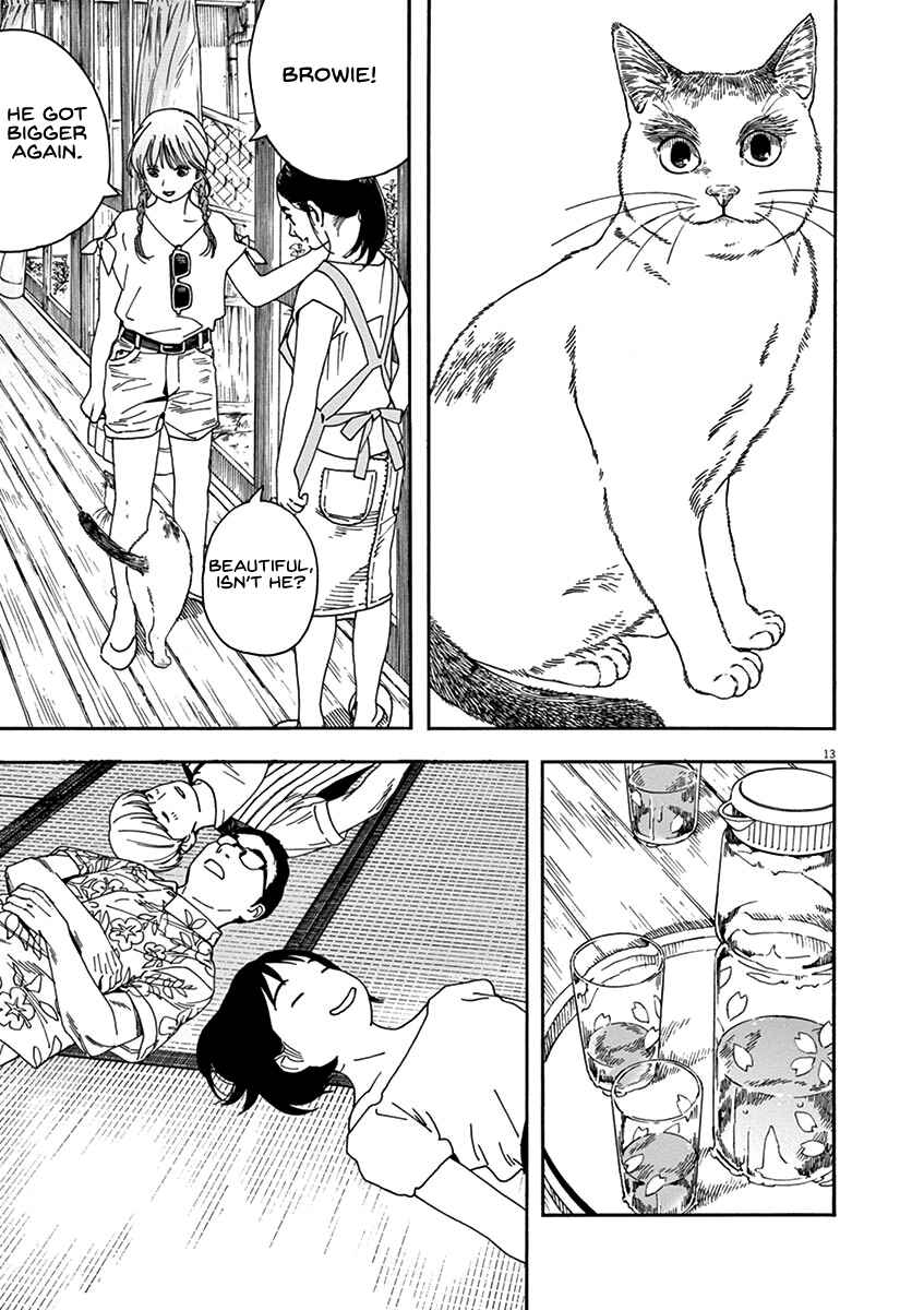 Page 13 Chapter 78 Neko no Otera no Chion-san