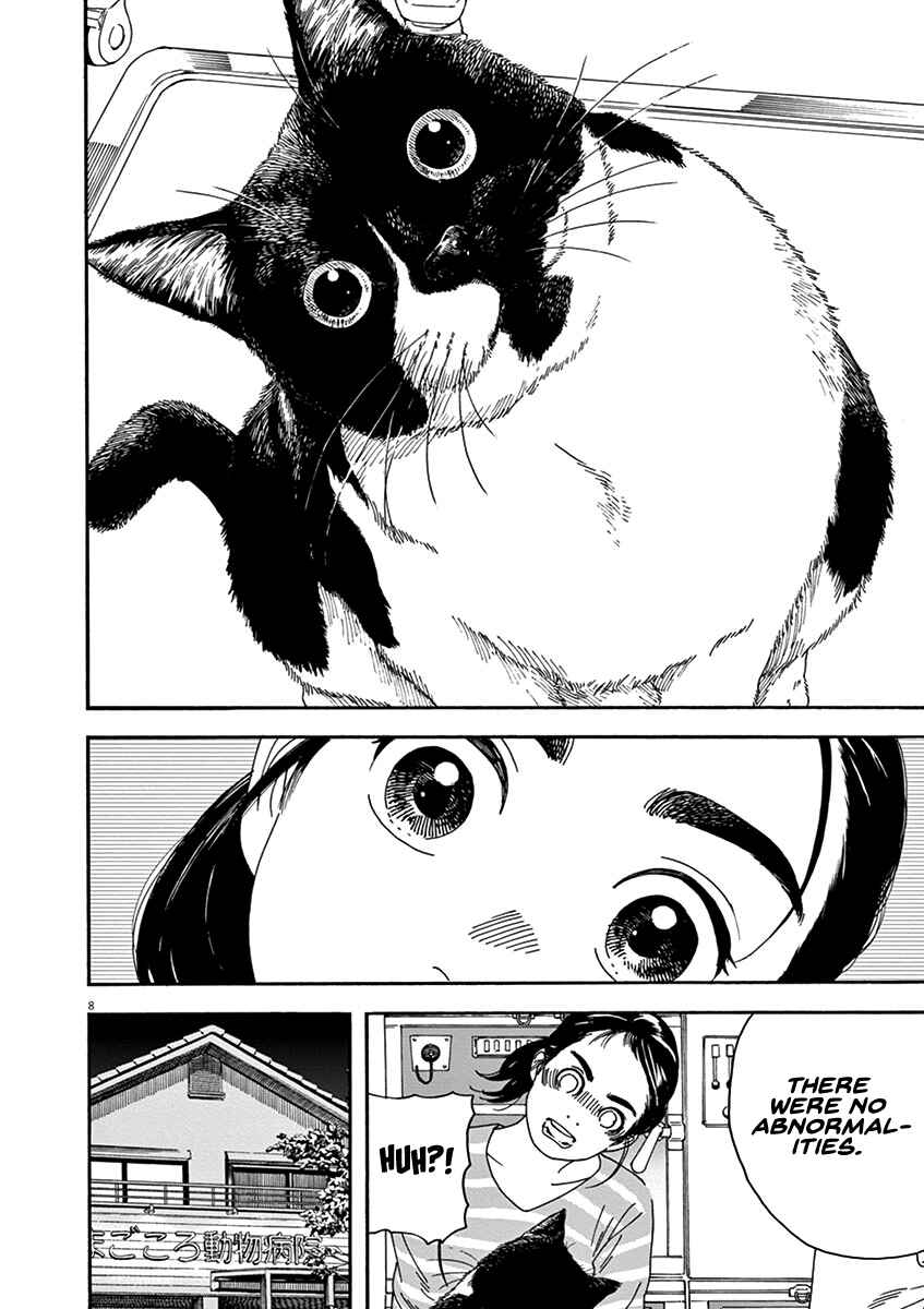Page 8 Chapter 76 Neko no Otera no Chion-san