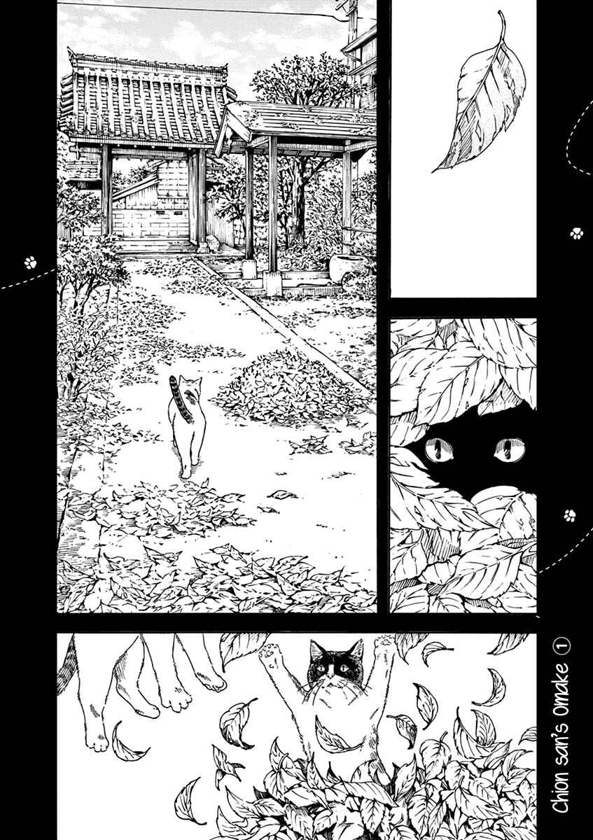Page 19 Chapter 73 Neko no Otera no Chion-san
