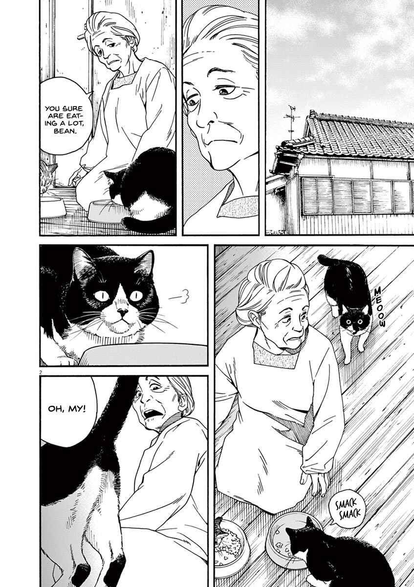 Page 3 Chapter 21 Neko no Otera no Chion-san