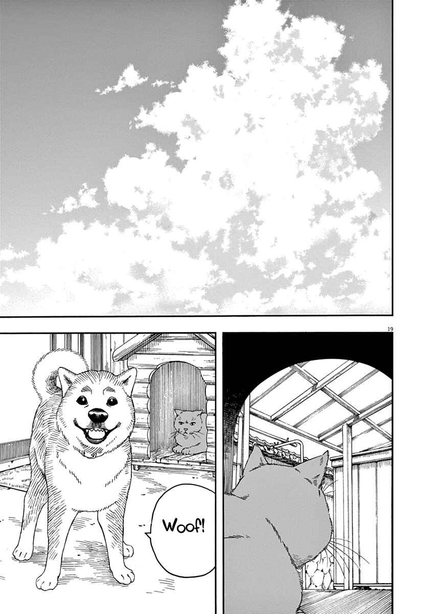 Page 19 Chapter 79 Neko no Otera no Chion-san