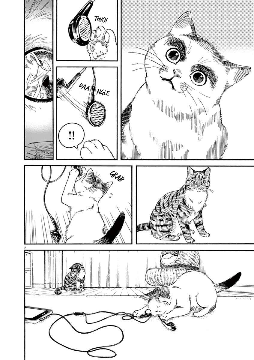 Page 3 Chapter 23 Neko no Otera no Chion-san