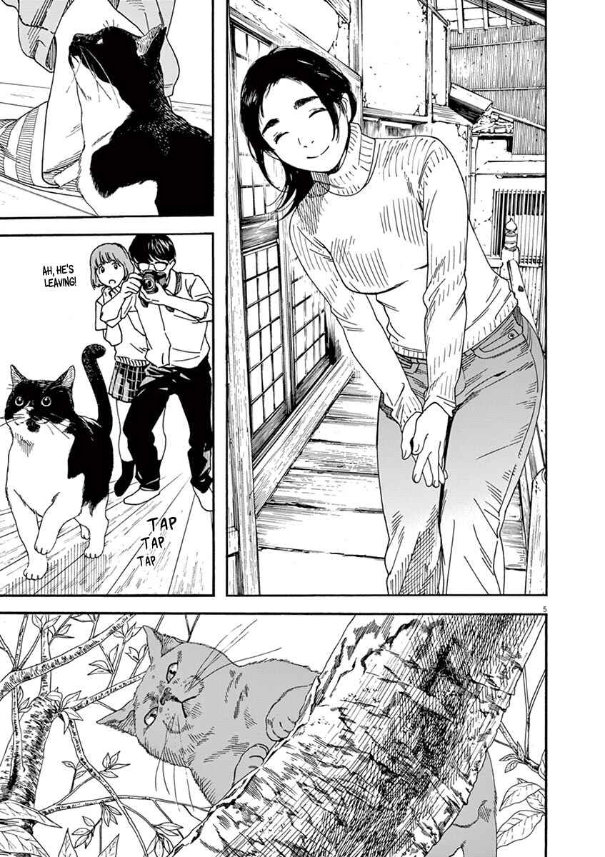 Page 5 Chapter 49 Neko no Otera no Chion-san
