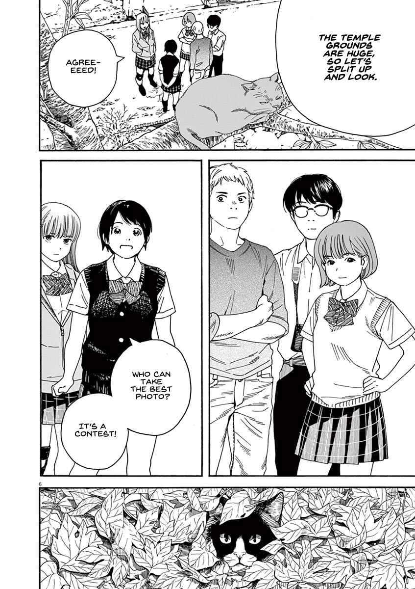 Page 6 Chapter 49 Neko no Otera no Chion-san