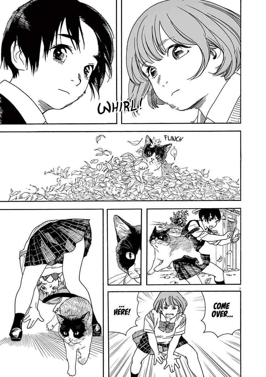 Page 7 Chapter 49 Neko no Otera no Chion-san