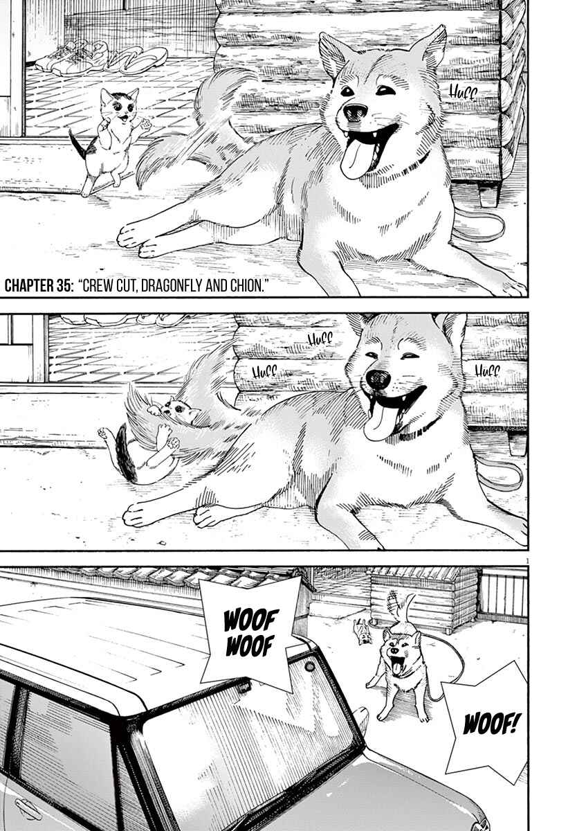 Page 1 Chapter 35 Neko no Otera no Chion-san