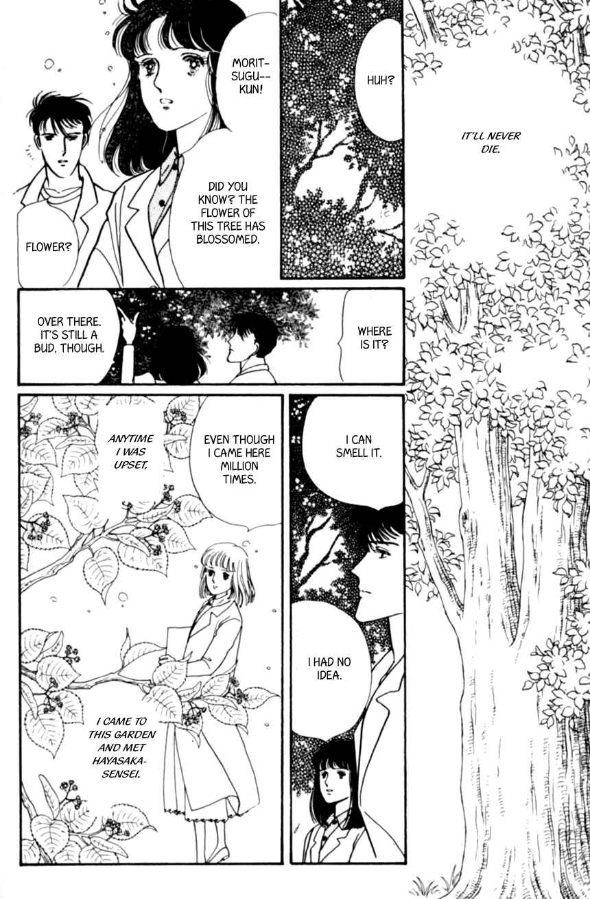 Page 26 Chapter 21 Linden Tree