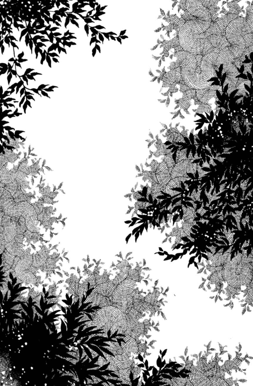 Page 29 Chapter 6 Linden Tree