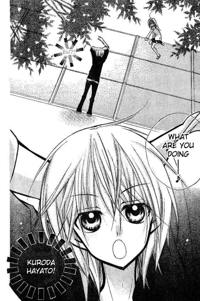 Page 6 Chapter 2 AAA