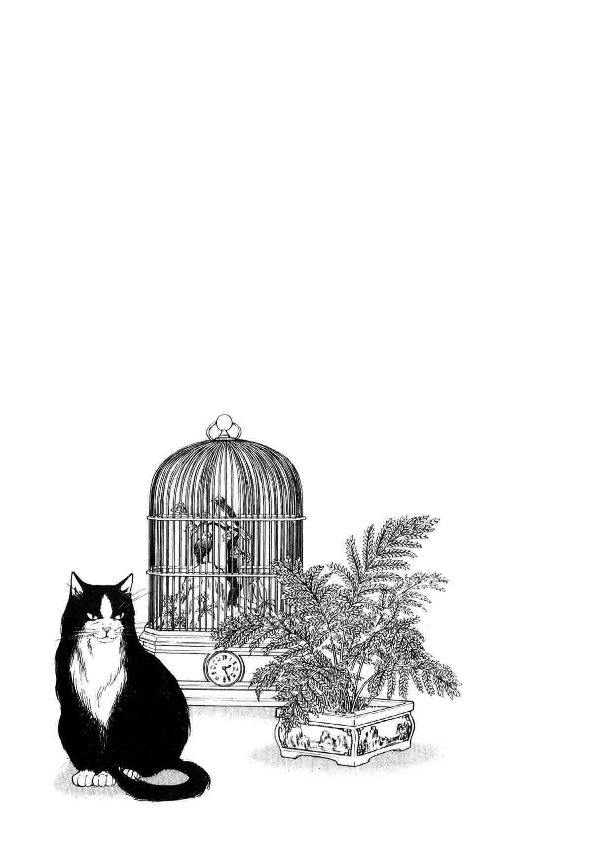 Page 21 Chapter 3.2 The Cat Is in a Secret Place