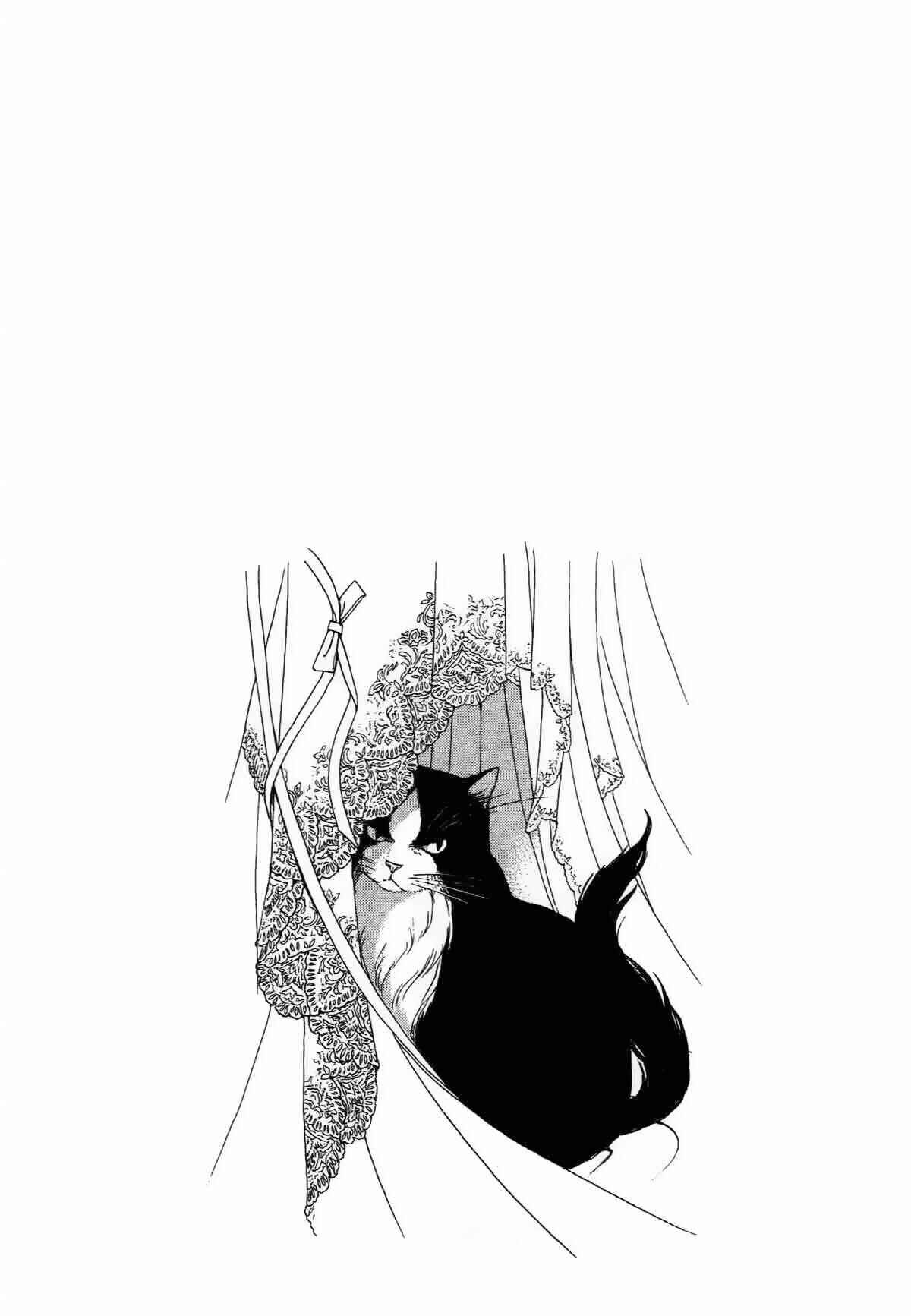 Page 16 Chapter 7.2 The Cat Is in a Secret Place
